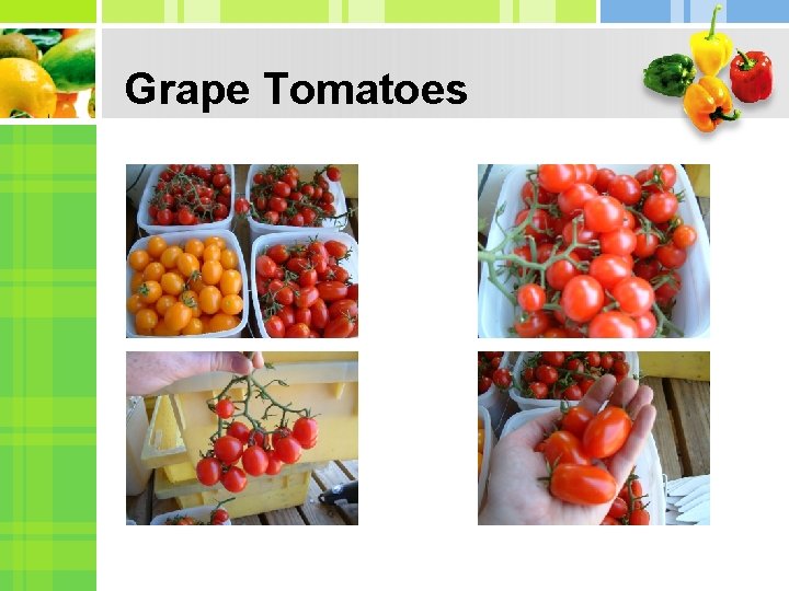 Grape Tomatoes 