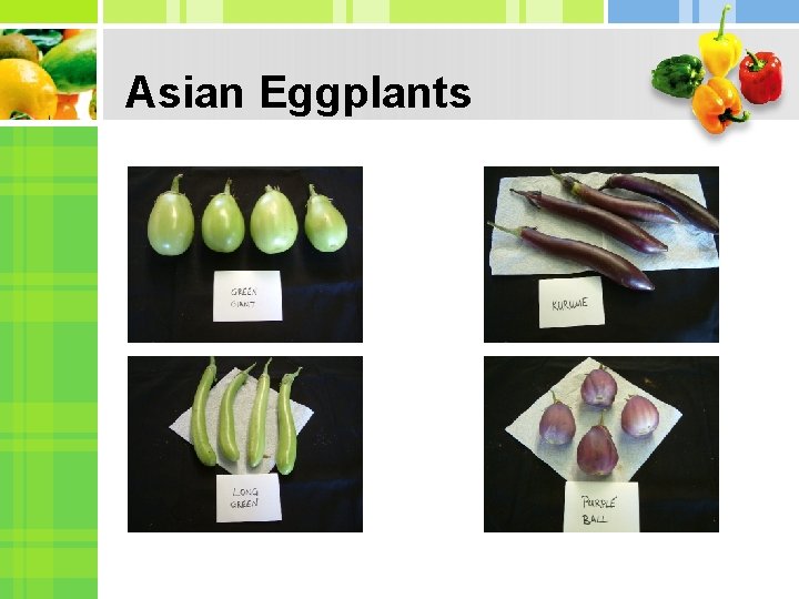 Asian Eggplants 