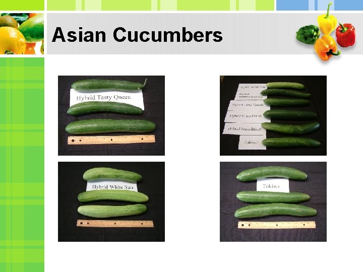 Asian Cucumbers 