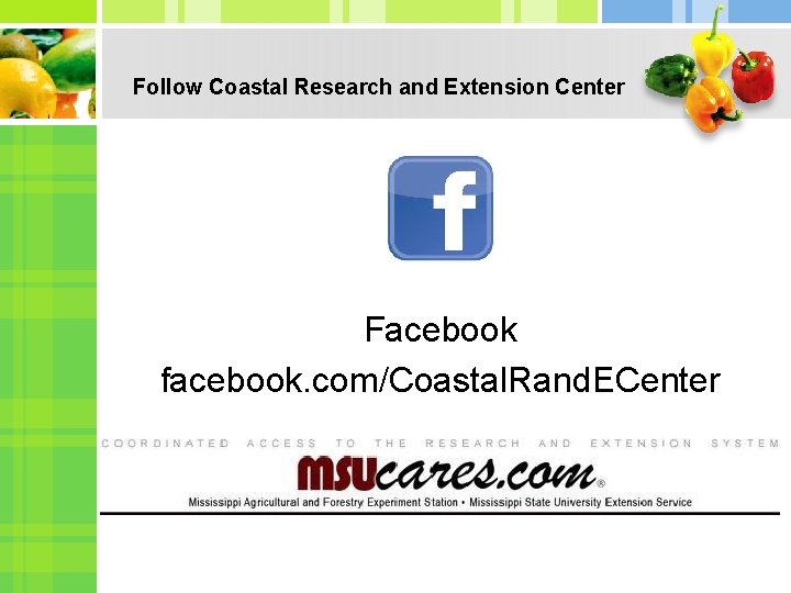 Follow Coastal Research and Extension Center Facebook facebook. com/Coastal. Rand. ECenter 