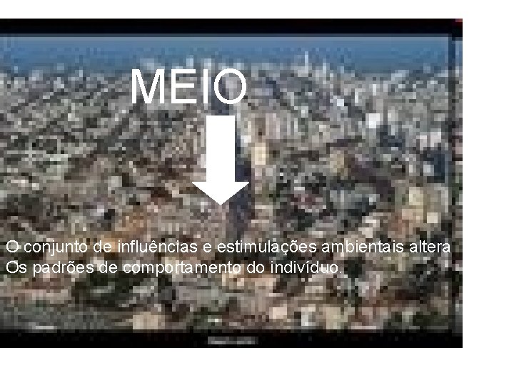 MEIO O conjunto de influências e estimulações ambientais altera Os padrões de comportamento do