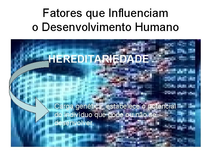 Fatores que Influenciam o Desenvolvimento Humano HEREDITARIEDADE Carga genética, estabelece o potencial do indivíduo