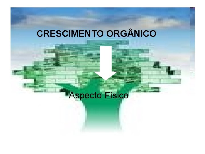 CRESCIMENTO ORG NICO Aspecto Físico 