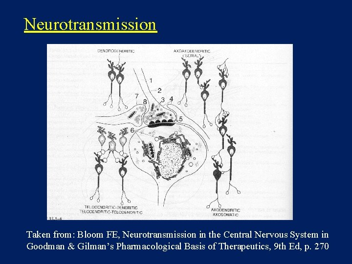 Neurotransmission Taken from: Bloom FE, Neurotransmission in the Central Nervous System in Goodman &