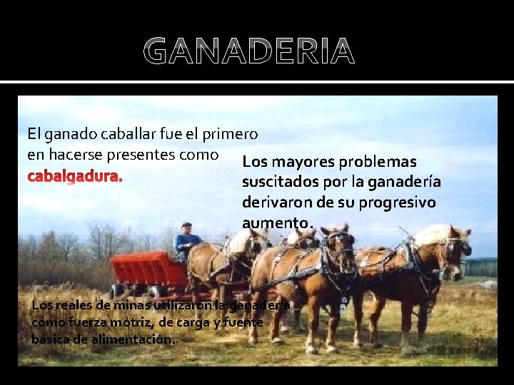 GANADERIA El ganado caballar fue el primero en hacerse presentes como Los mayores problemas