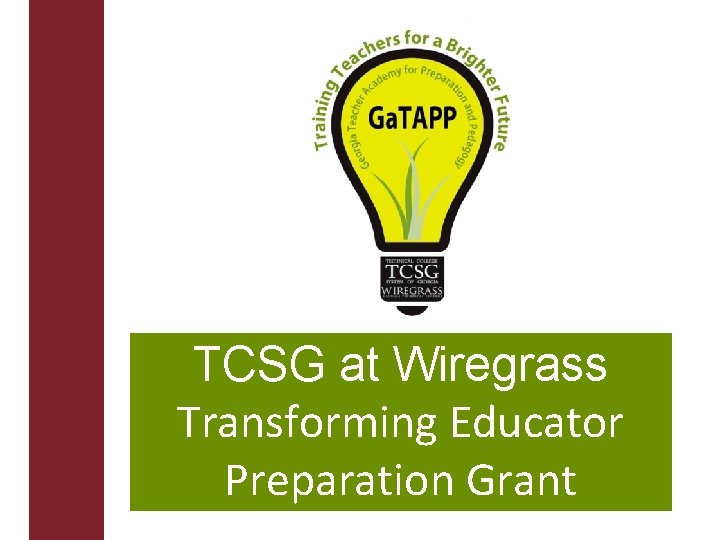 TCSG at Wiregrass Transforming Educator Preparation Grant 