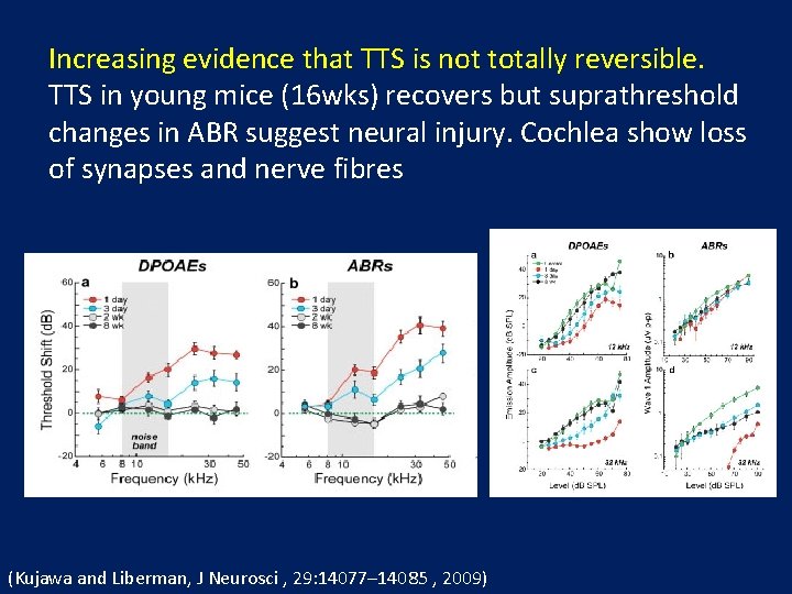 Increasing evidence that TTS is not totally reversible. TTS in young mice (16 wks)