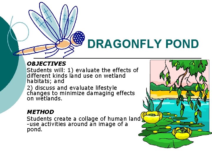 DRAGONFLY POND OBJECTIVES Students will: 1) evaluate the effects of different kinds land use