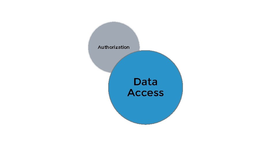 Authorization Data Access 