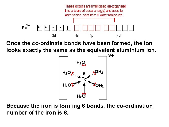  Once the co-ordinate bonds have been formed, the ion looks exactly the same