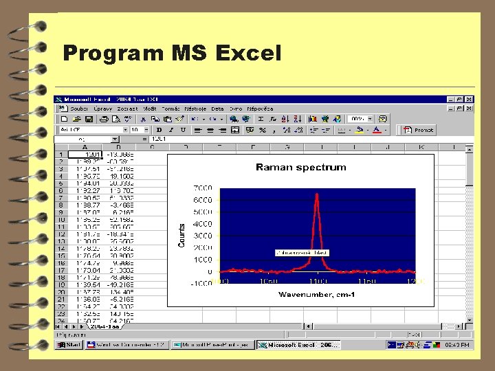 Program MS Excel 