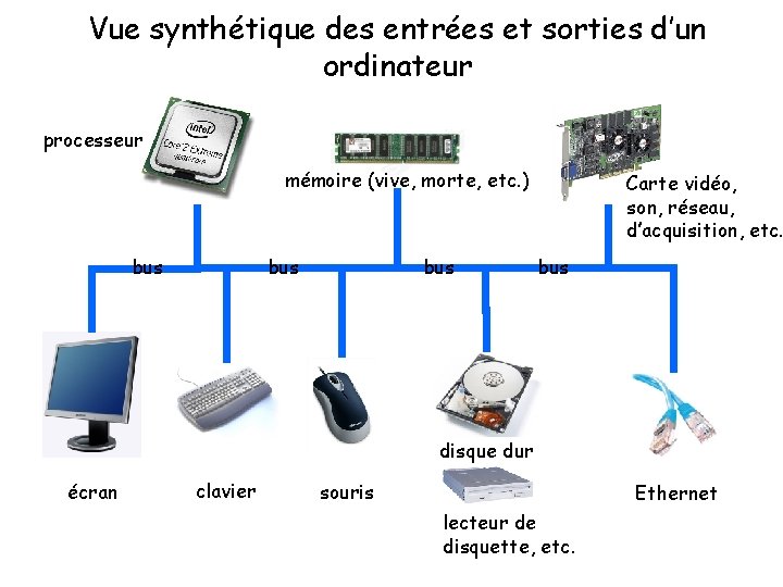 Vue synthétique des entrées et sorties d’un ordinateur processeur mémoire (vive, morte, etc. )