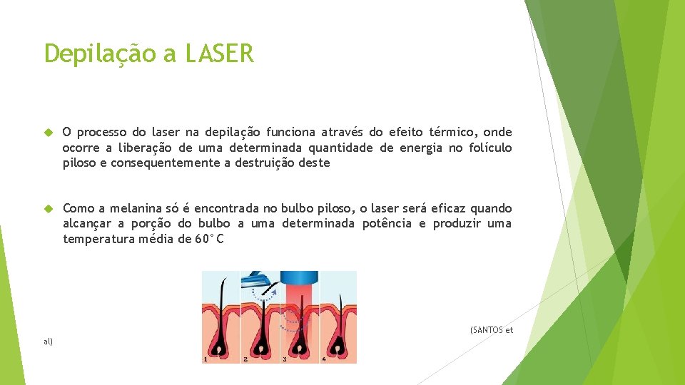 Depilação a LASER O processo do laser na depilação funciona através do efeito térmico,