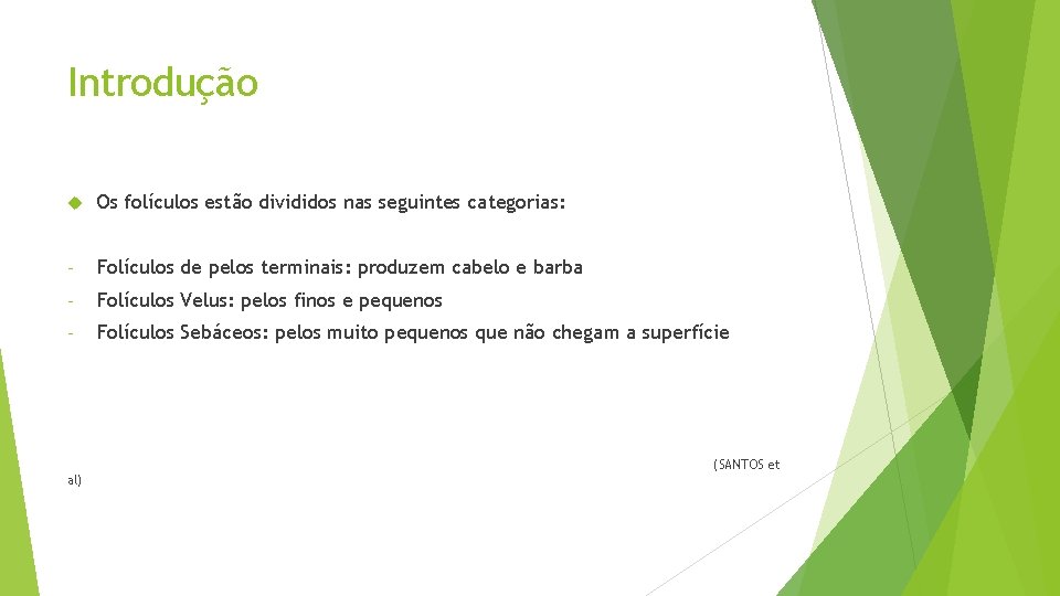 Introdução Os folículos estão divididos nas seguintes categorias: - Folículos de pelos terminais: produzem