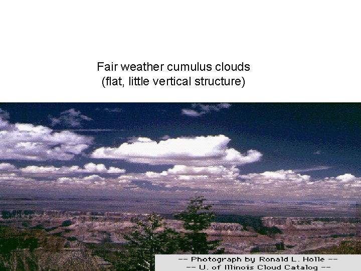 Fair weather cumulus clouds (flat, little vertical structure) 