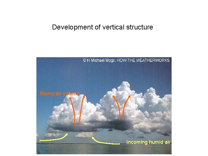 Development of vertical structure Rising air column Incoming humid air 