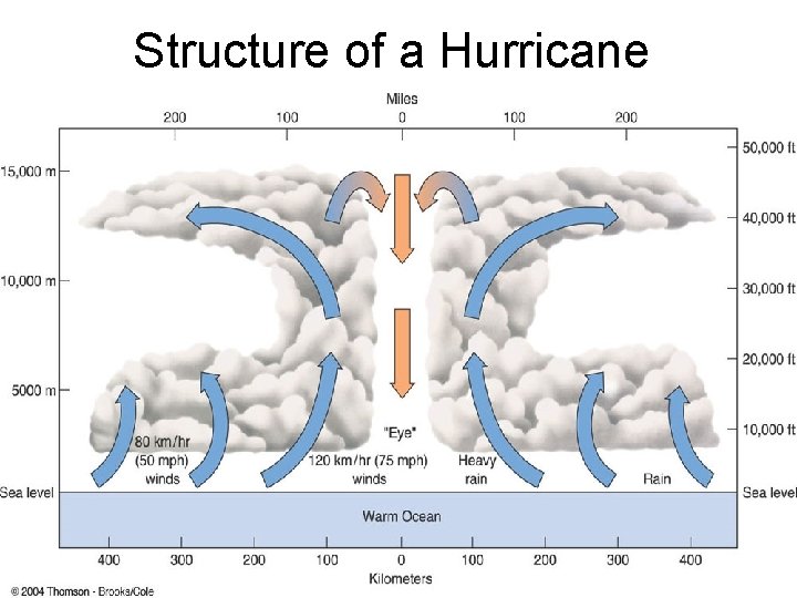 Structure of a Hurricane 