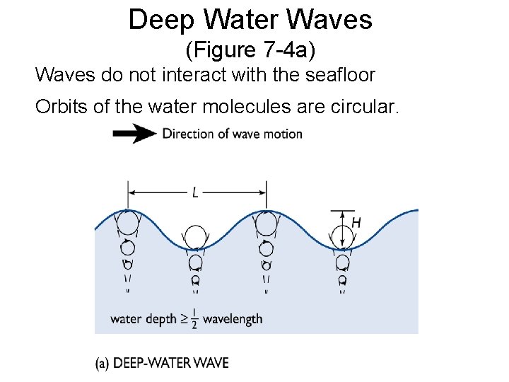 Deep Water Waves (Figure 7 -4 a) Waves do not interact with the seafloor