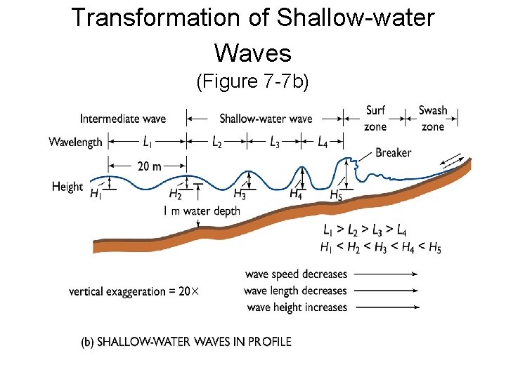 Transformation of Shallow-water Waves (Figure 7 -7 b) 