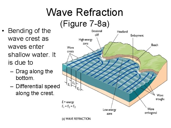Wave Refraction • Bending of the wave crest as waves enter shallow water. It