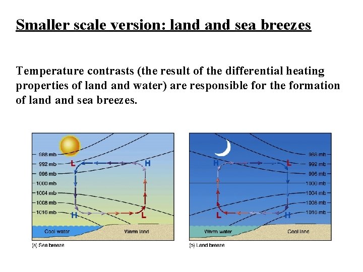 Smaller scale version: land sea breezes Temperature contrasts (the result of the differential heating