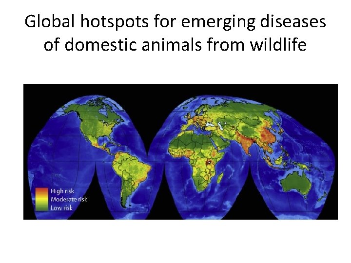 Global hotspots for emerging diseases of domestic animals from wildlife 