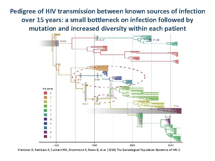 Pedigree of HIV transmission between known sources of infection over 15 years: a small