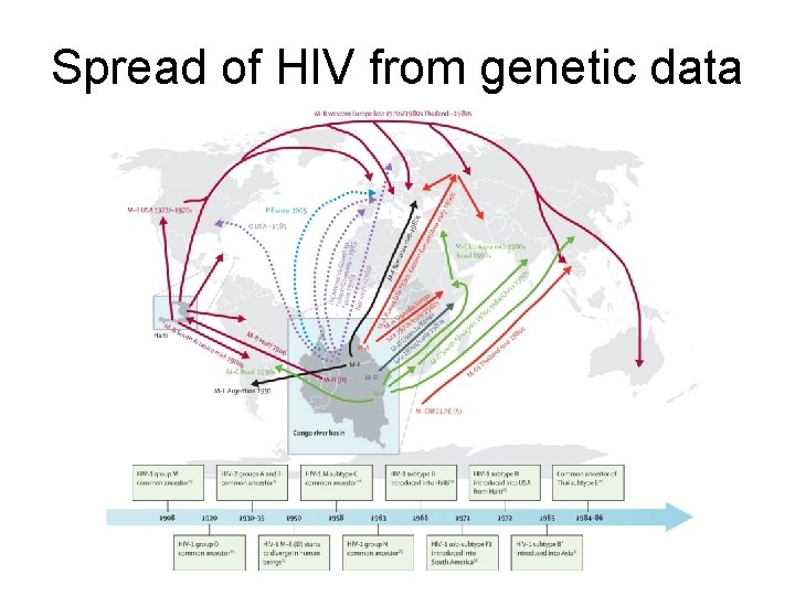 Spread of HIV from genetic data 