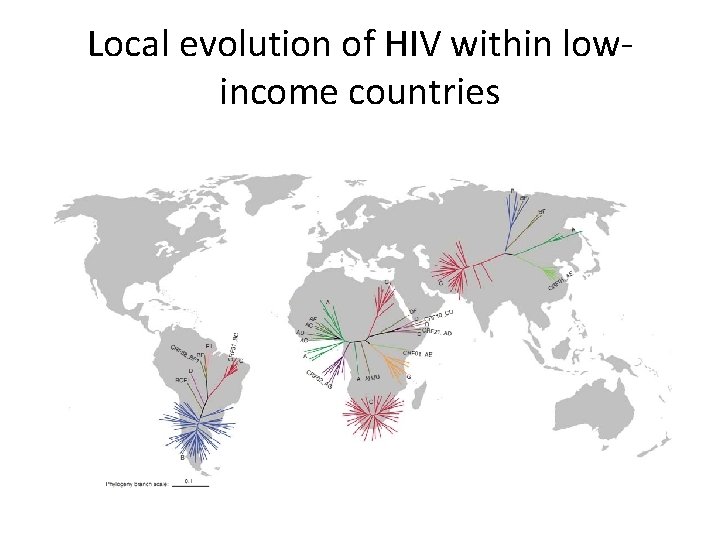 Local evolution of HIV within lowincome countries 