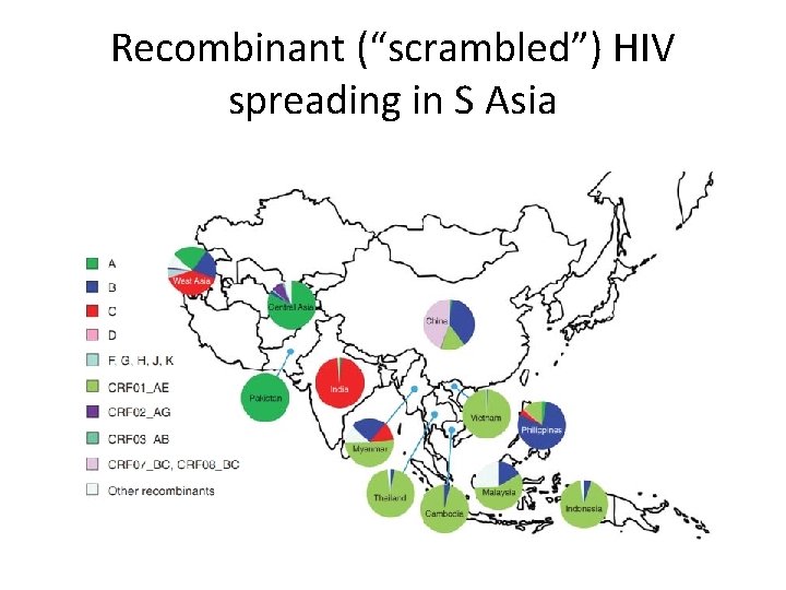 Recombinant (“scrambled”) HIV spreading in S Asia 
