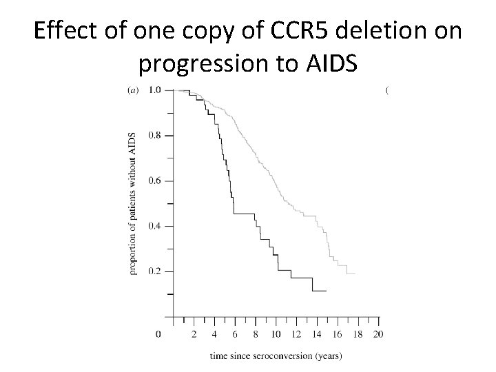 Effect of one copy of CCR 5 deletion on progression to AIDS 