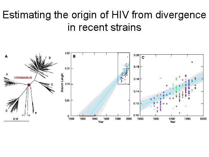 Estimating the origin of HIV from divergence in recent strains 