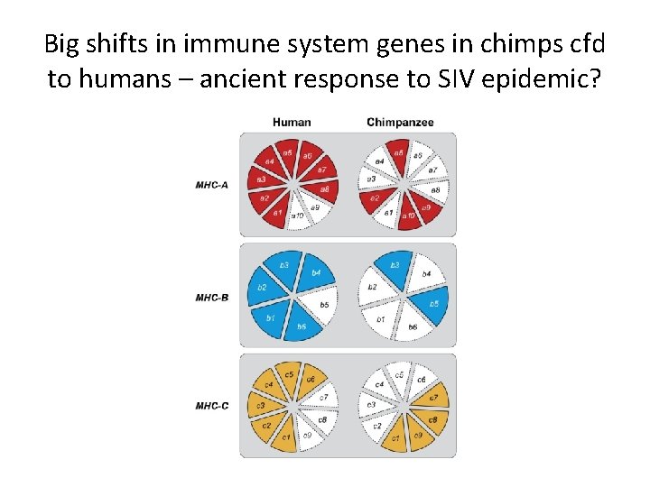 Big shifts in immune system genes in chimps cfd to humans – ancient response