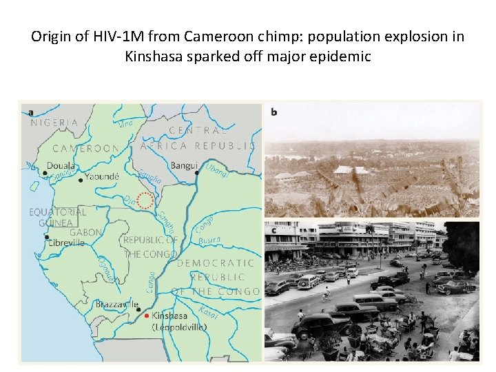 Origin of HIV-1 M from Cameroon chimp: population explosion in Kinshasa sparked off major