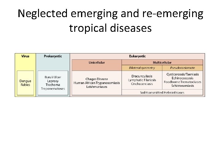 Neglected emerging and re-emerging tropical diseases 