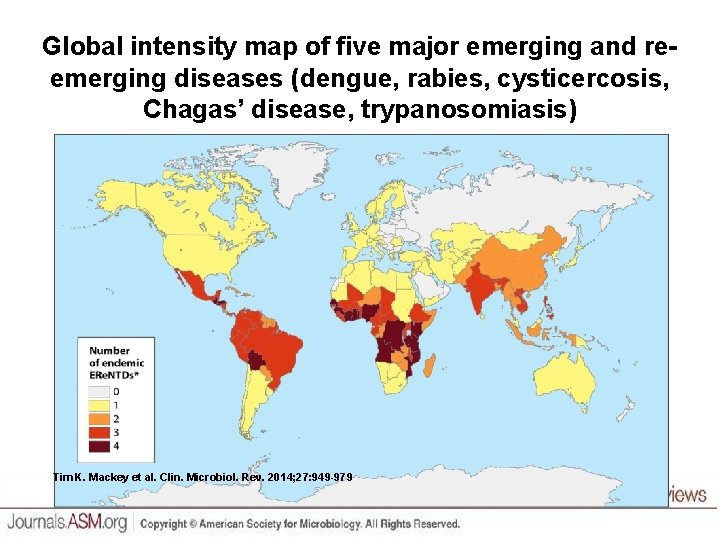 Global intensity map of five major emerging and reemerging diseases (dengue, rabies, cysticercosis, Chagas’