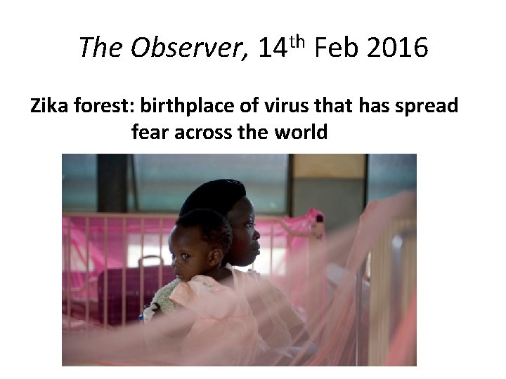The Observer, 14 th Feb 2016 Zika forest: birthplace of virus that has spread