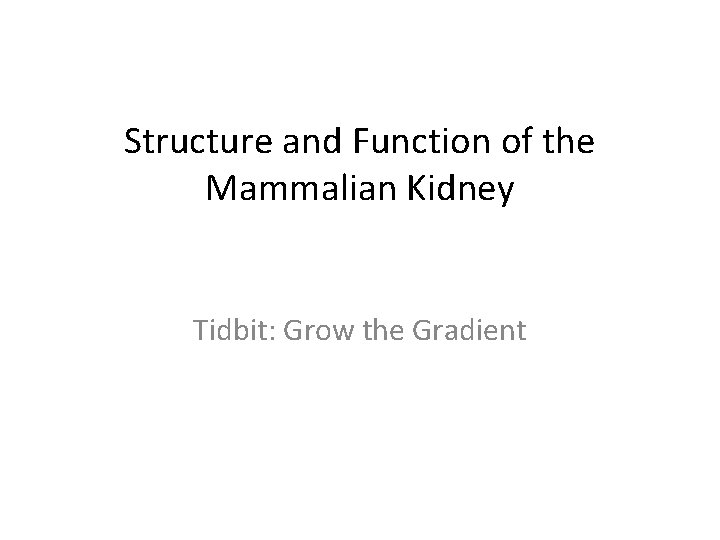 Structure and Function of the Mammalian Kidney Tidbit: Grow the Gradient 