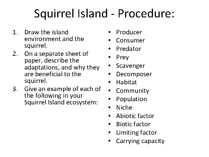 Squirrel Island - Procedure: 1. Draw the island environment and the squirrel. 2. On