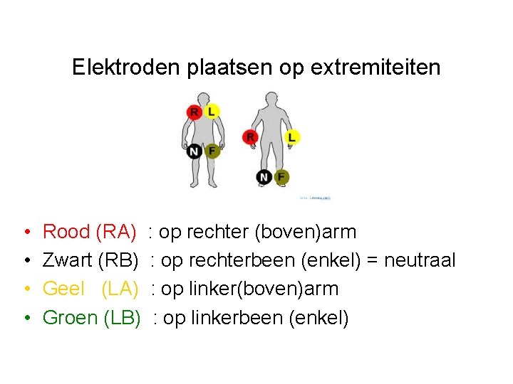 Elektroden plaatsen op extremiteiten • • Rood (RA) : op rechter (boven)arm Zwart (RB)