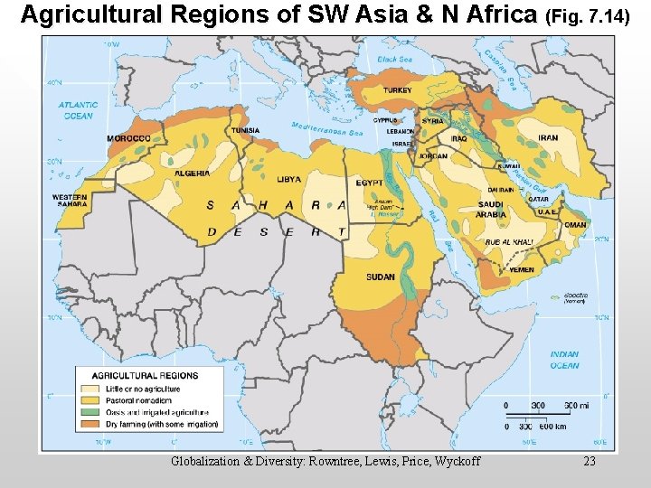 Agricultural Regions of SW Asia & N Africa (Fig. 7. 14) Globalization & Diversity: