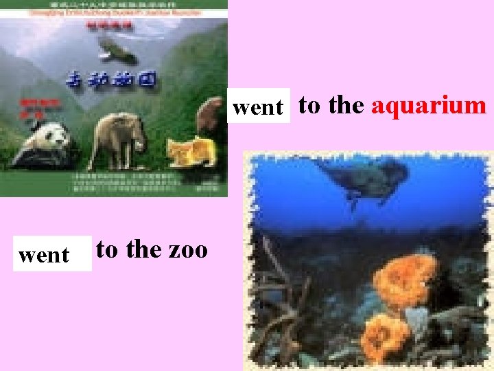 go to the aquarium wentgo to the zoo go to the aquarium wentgo to the zoo