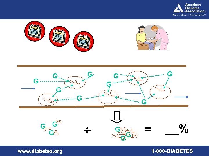 G G G www. diabetes. org G G GG = __% 1 -800 -DIABETES