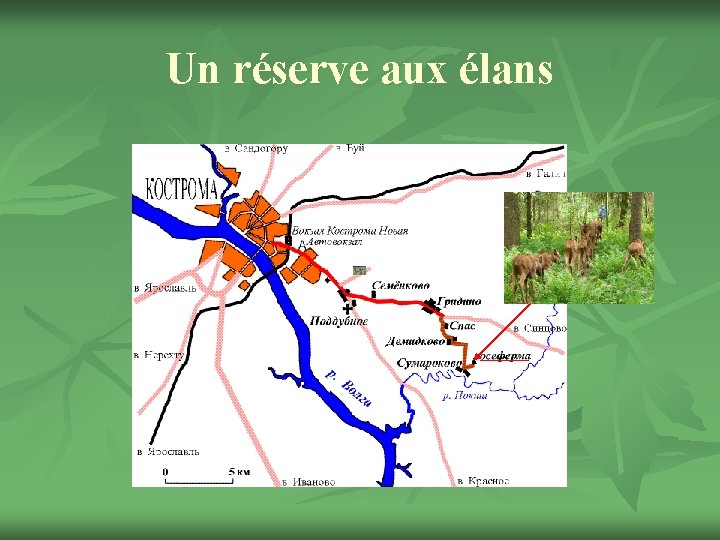 Un réserve aux élans 