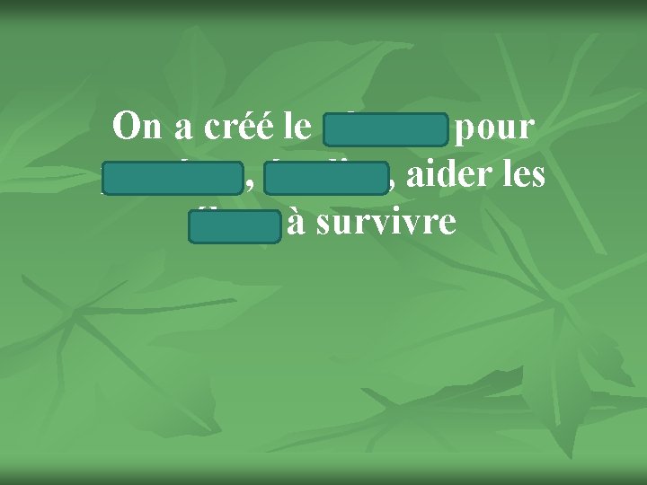 On a créé le réserve pour protéger, étudier, aider les élans à survivre 