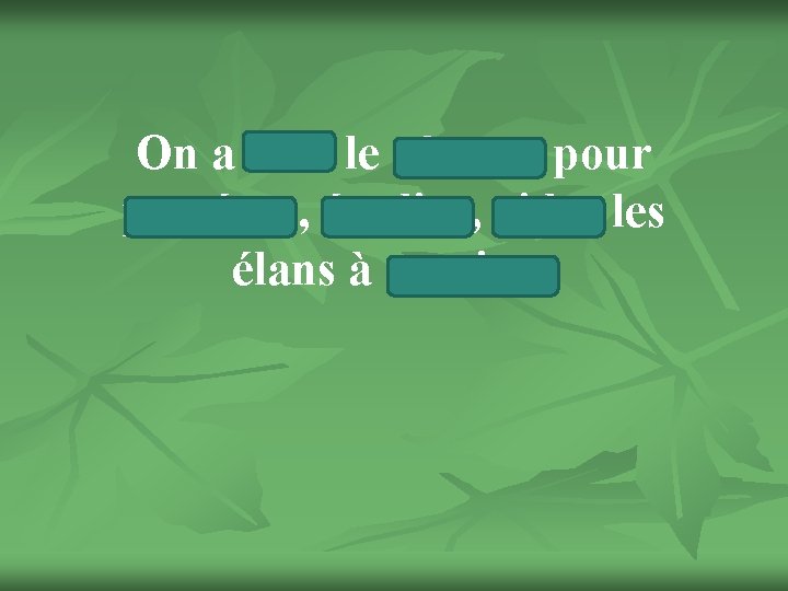 On a créé le réserve pour protéger, étudier, aider les élans à survivre 