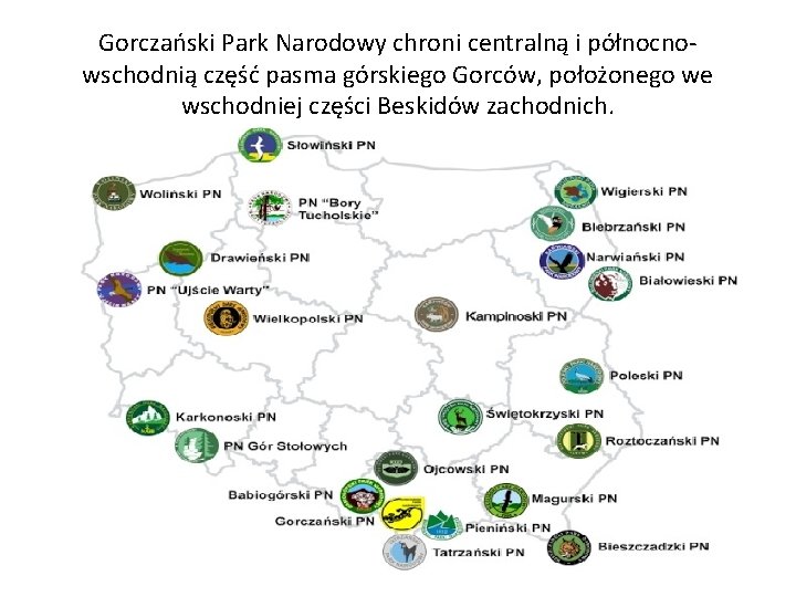 Gorczański Park Narodowy chroni centralną i północnowschodnią część pasma górskiego Gorców, położonego we wschodniej