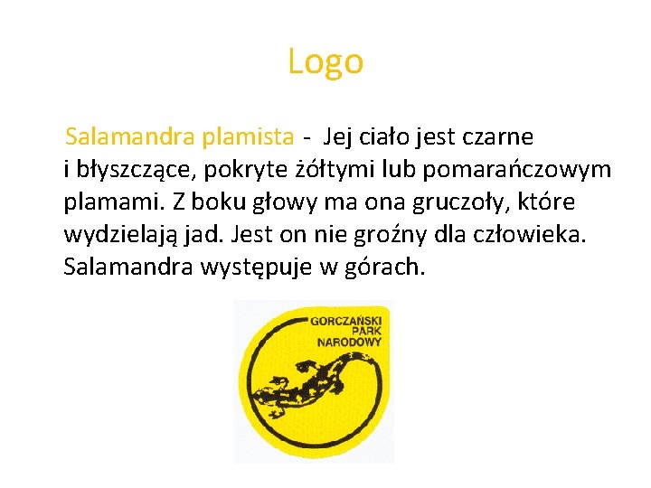 Logo Salamandra plamista - Jej ciało jest czarne i błyszczące, pokryte żółtymi lub pomarańczowym