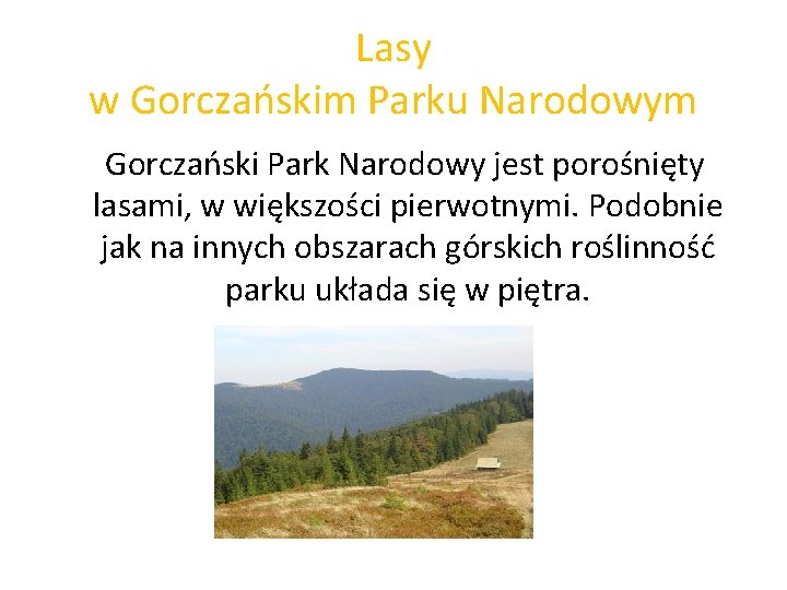 Lasy w Gorczańskim Parku Narodowym Gorczański Park Narodowy jest porośnięty lasami, w większości pierwotnymi.