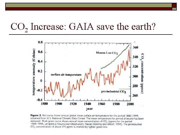 CO 2 Increase: GAIA save the earth? 